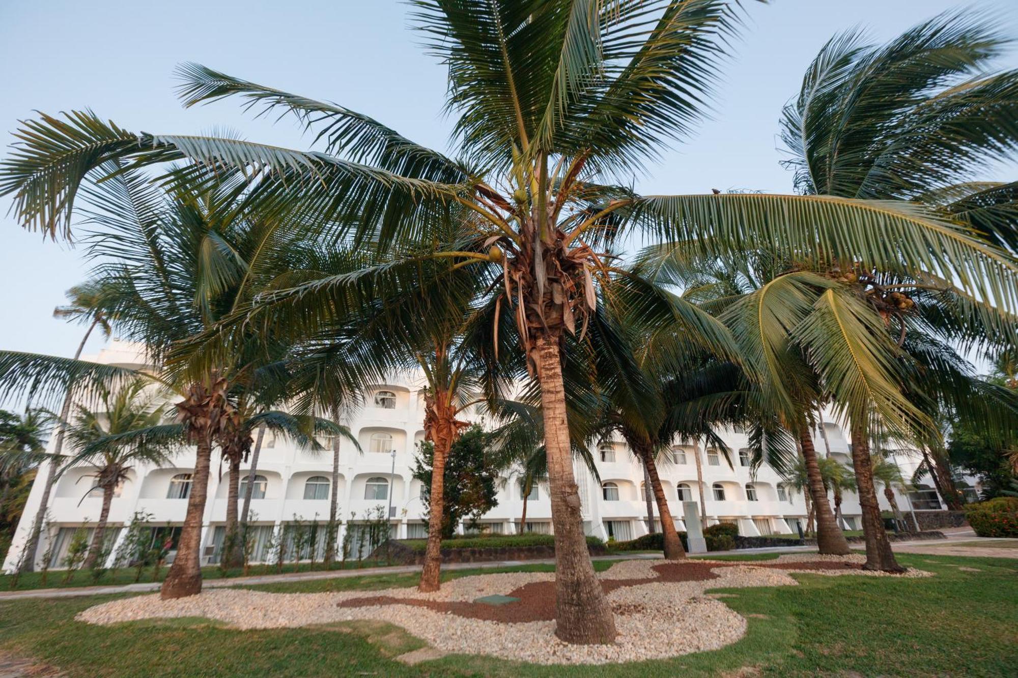 ホテル Blue Tree Towers Sao Luis エクステリア 写真 Coconut trees in the city